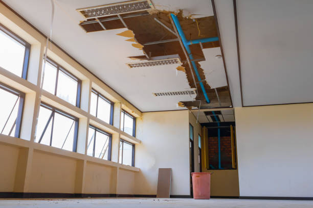 Best Professional water damage repair  in Cupertino, CA