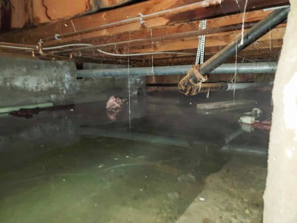 Trusted Cupertino, CA Water damage restoration Experts