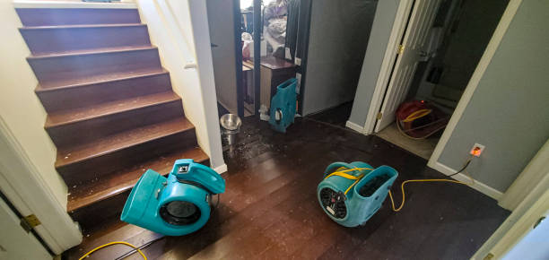 Best Fire Damage Restoration  in Cupertino, CA