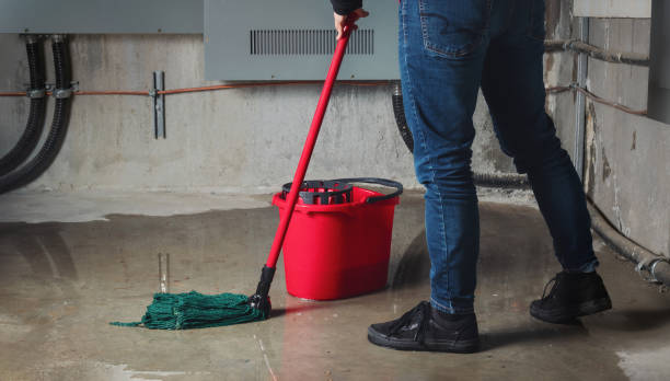 Best Water damage restoration specialists  in Cupertino, CA