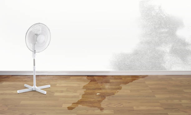 Best Local water damage restoration  in Cupertino, CA