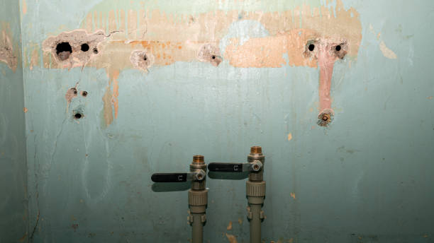 Best Flood damage cleanup  in Cupertino, CA